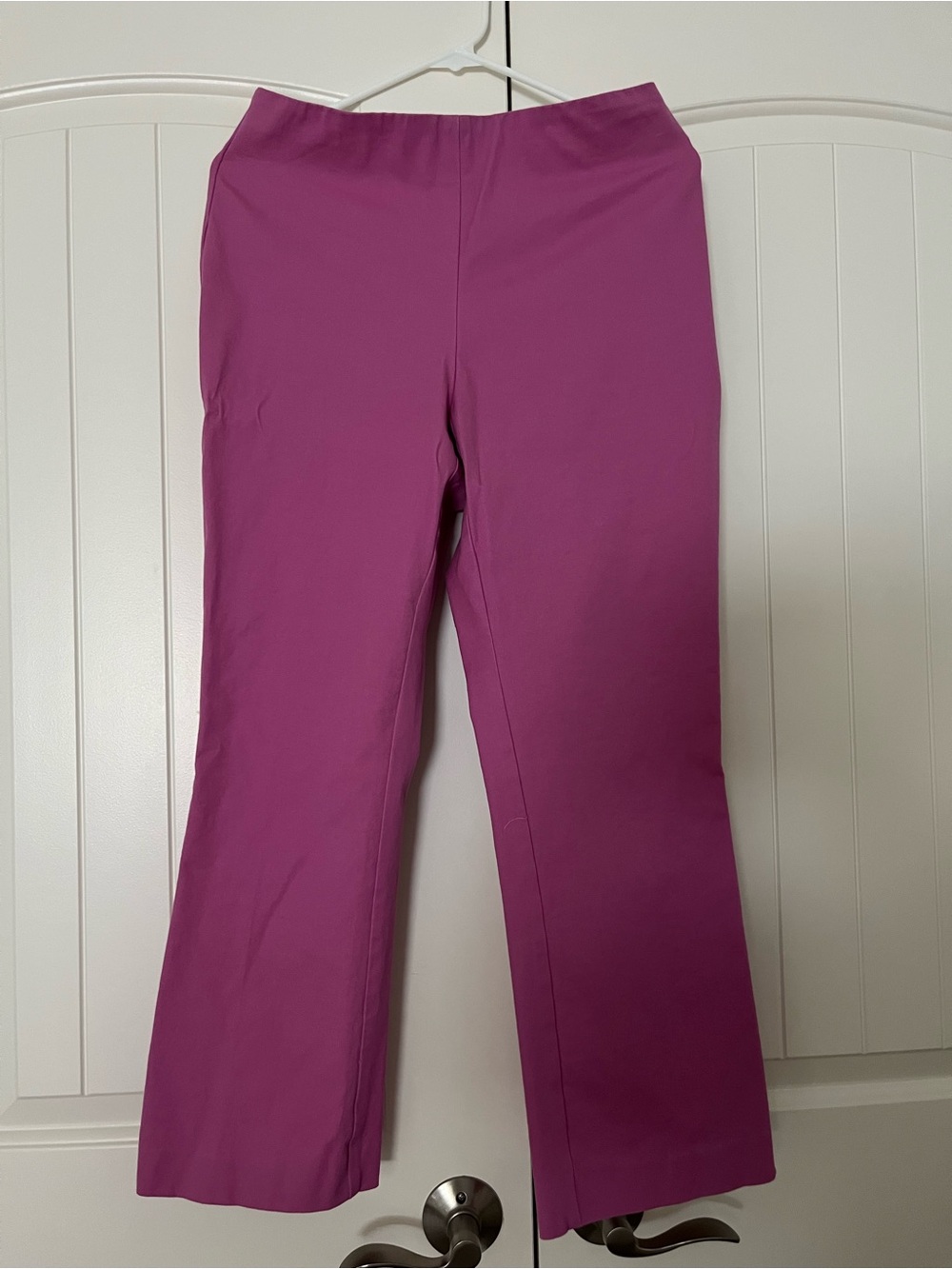 a new day Women's Plum Boot Cut Pants